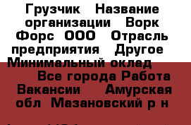 Грузчик › Название организации ­ Ворк Форс, ООО › Отрасль предприятия ­ Другое › Минимальный оклад ­ 24 000 - Все города Работа » Вакансии   . Амурская обл.,Мазановский р-н